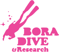 Logo footer Bora dive